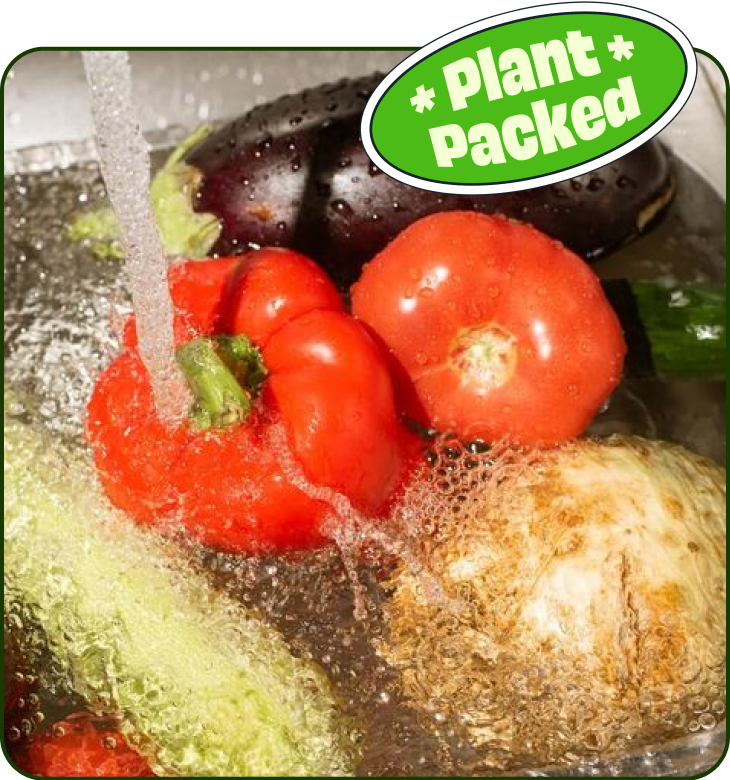 Vegetable Cleaning in Sink