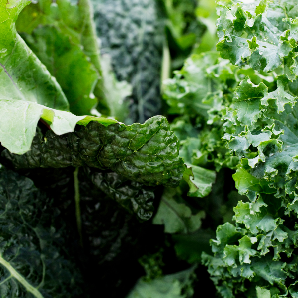 7 Reasons Why You Should Eat More Leafy Greens