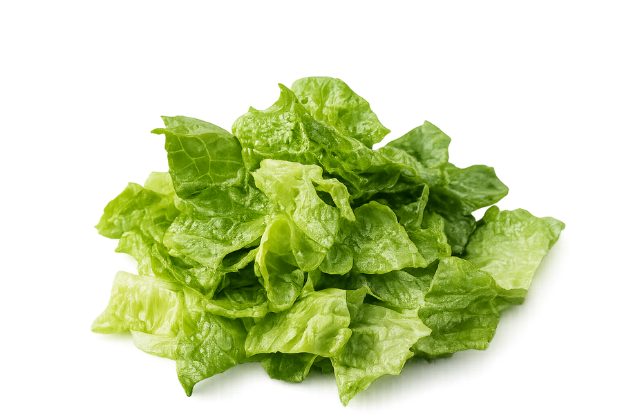 Lettuce