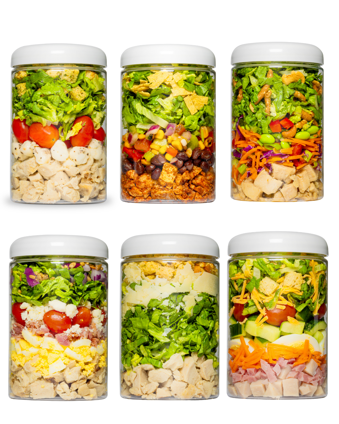 The Protein Sampler Pack (6-Pack)