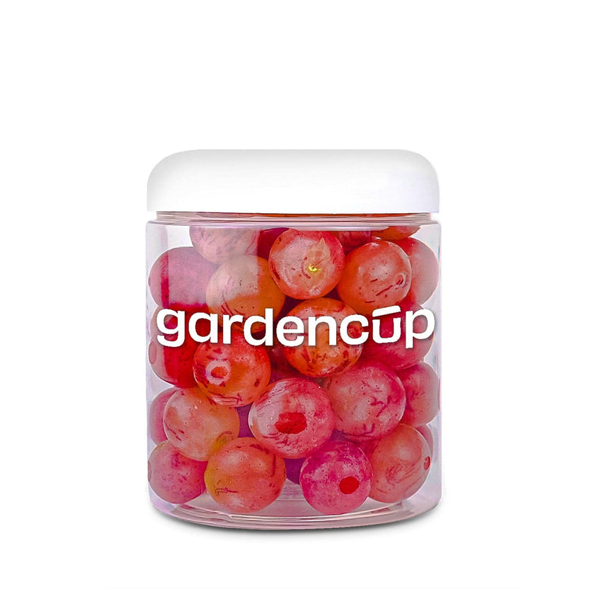 Gardencup Salads Delivered